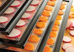 Excalibur Mesh Sheets dehydrating fruits and vegetables